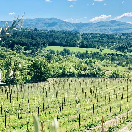 Bergerie En Haute-provence Au Coeur D'un Vignoble Holiday home