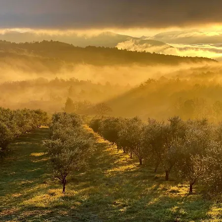 Holiday home Bergerie En Haute-provence Au Coeur D'un Vignoble