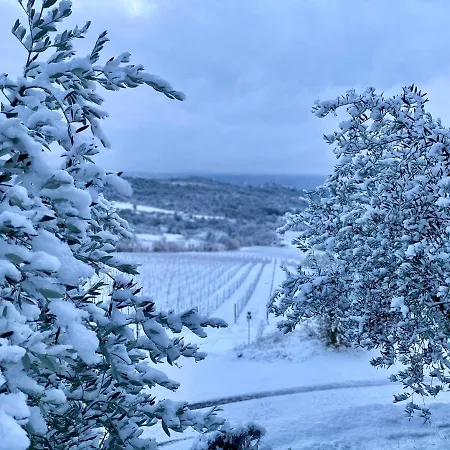 Bergerie En Haute-provence Au Coeur D'un Vignoble Holiday home