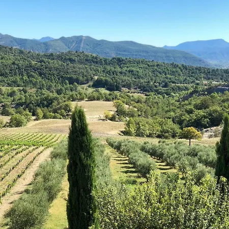 Holiday home Bergerie En Haute-provence Au Coeur D'un Vignoble